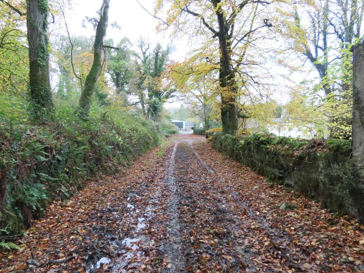 Noan Country House B&B Cashel  Exterior foto