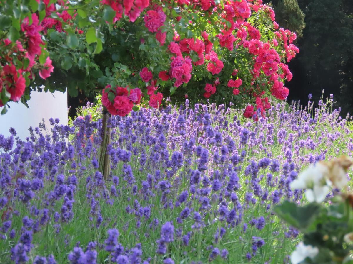 Noan Country House B&B Cashel  Exterior foto